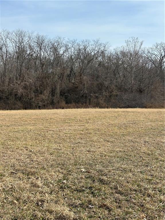 117 South St, Richmond, MO 64085