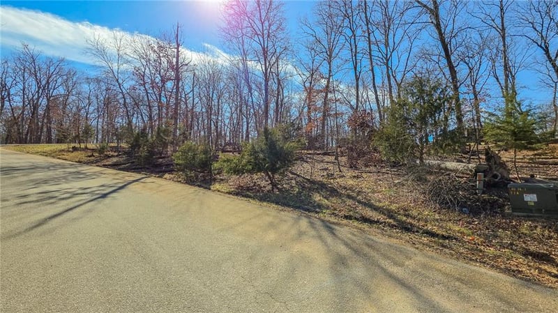 Lake Ct, Sunrise Beach, MO 65079