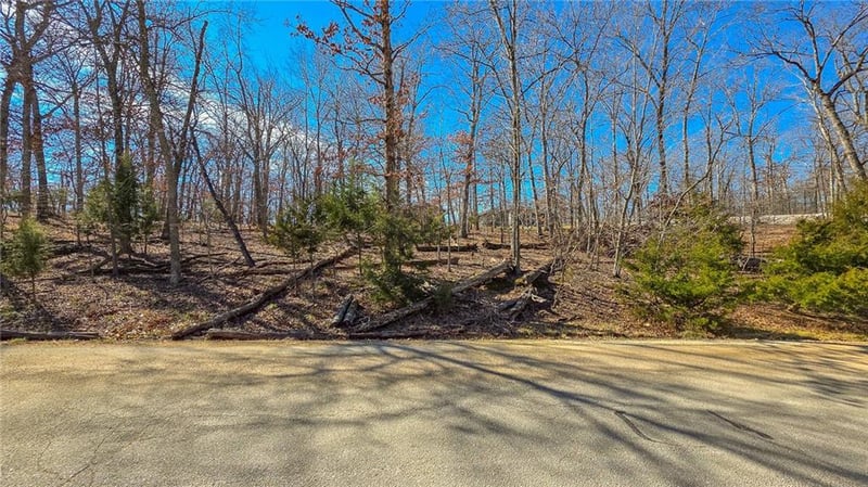 Lake Ct, Sunrise Beach, MO 65079