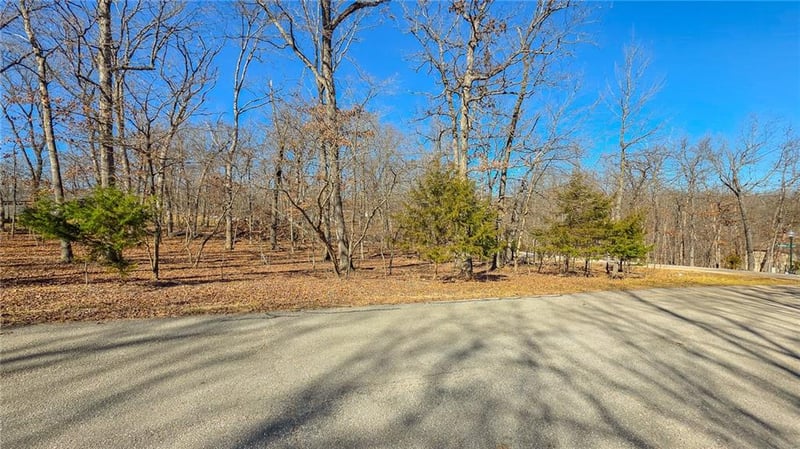 Lake Ct, Sunrise Beach, MO 65079