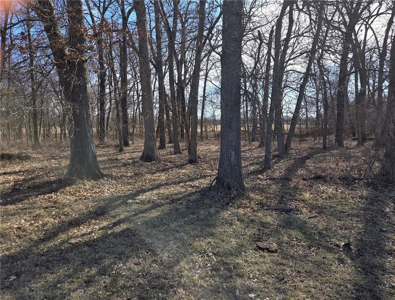 Tract A County Road 17402 N/A, Archie, MO 64725