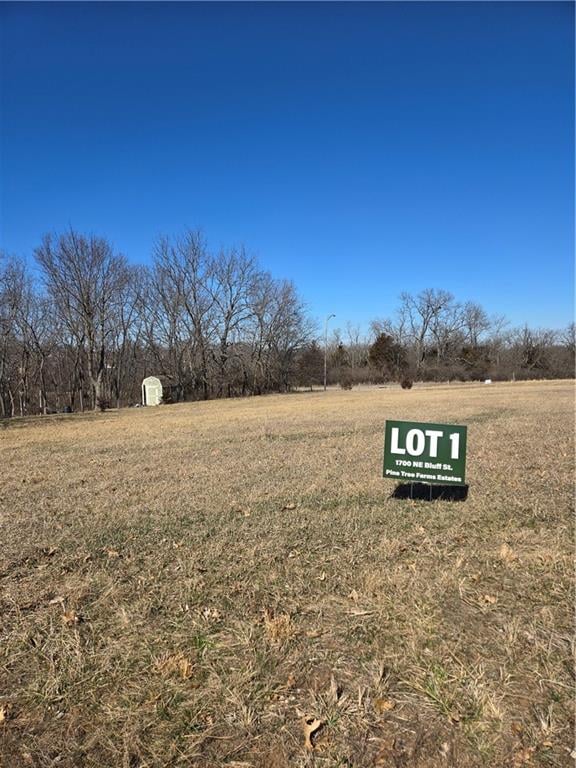 1700 Bluff St, Lee's Summit, MO 64086