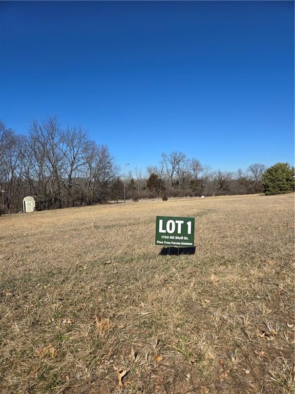 1700 Bluff St, Lee's Summit, MO 64086