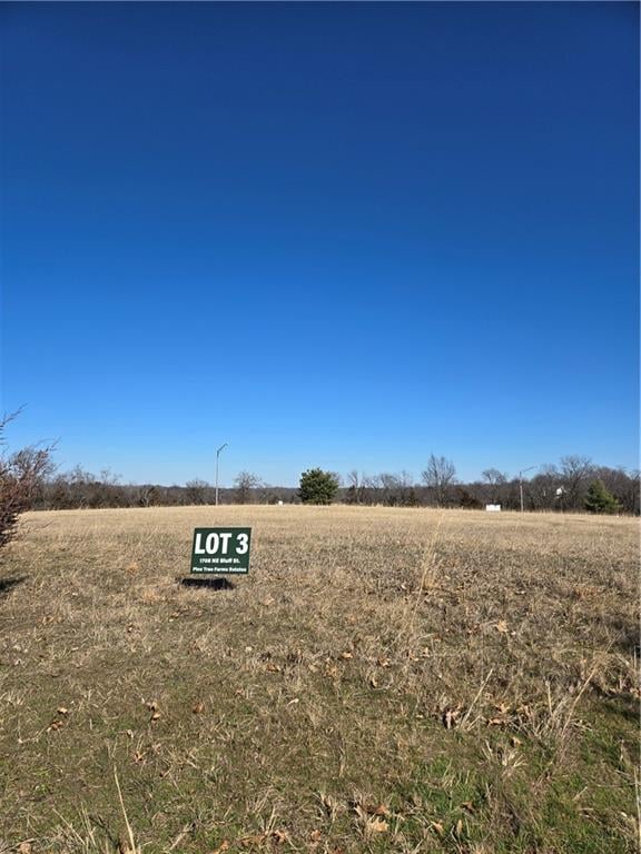 1708 Bluff St, Lee's Summit, MO 64086