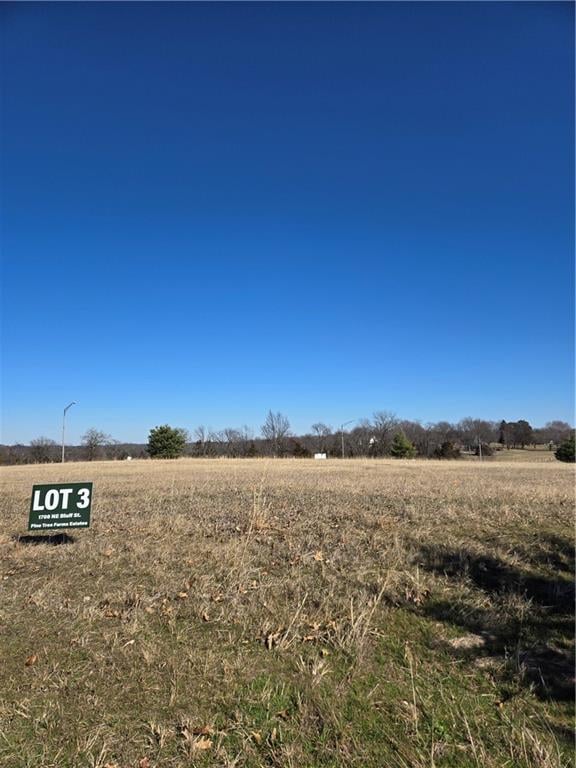 1708 Bluff St, Lee's Summit, MO 64086