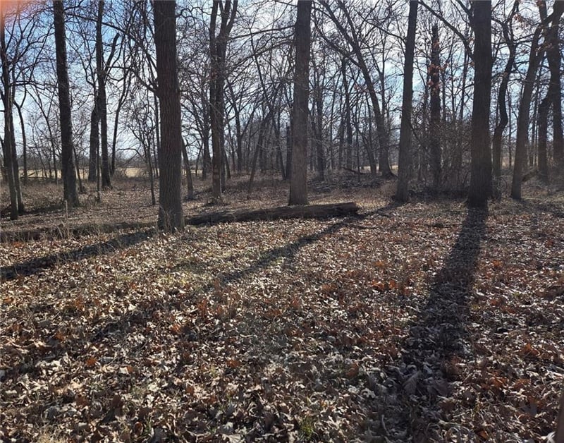 Tract B County Rd 17402 N/A, Archie, MO 64725