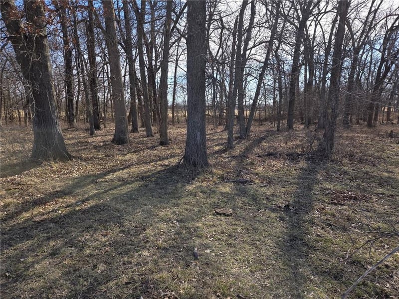 Tract C County Road 17402 N/A, Archie, MO 64725