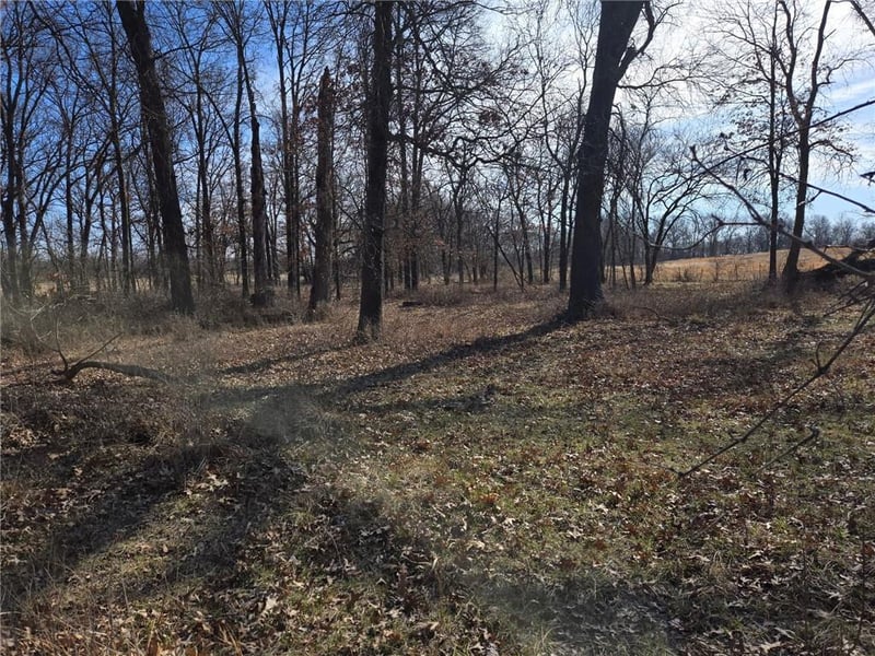 Tract C County Road 17402 N/A, Archie, MO 64725