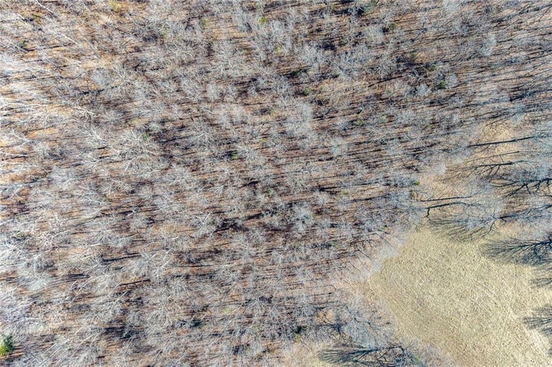 xx Tract 2 Lindley Rd, Buffalo, MO 65622