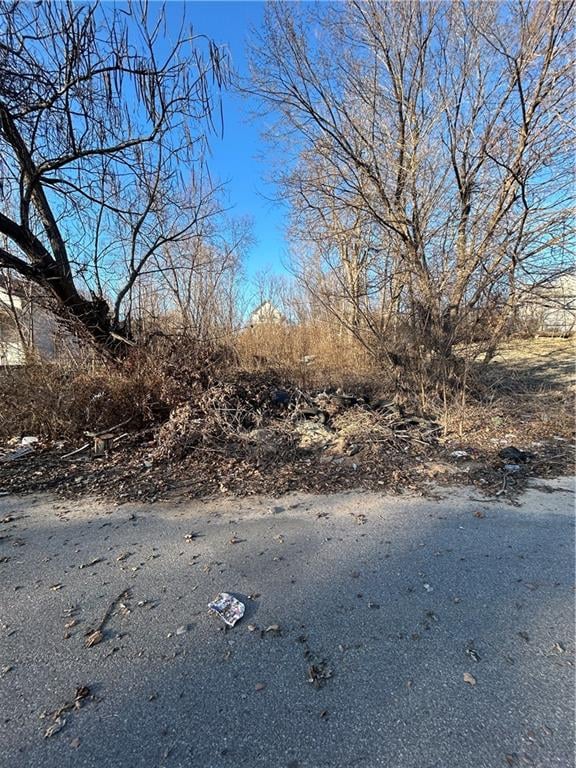 910 Northrup Ave, Kansas City, KS 66101