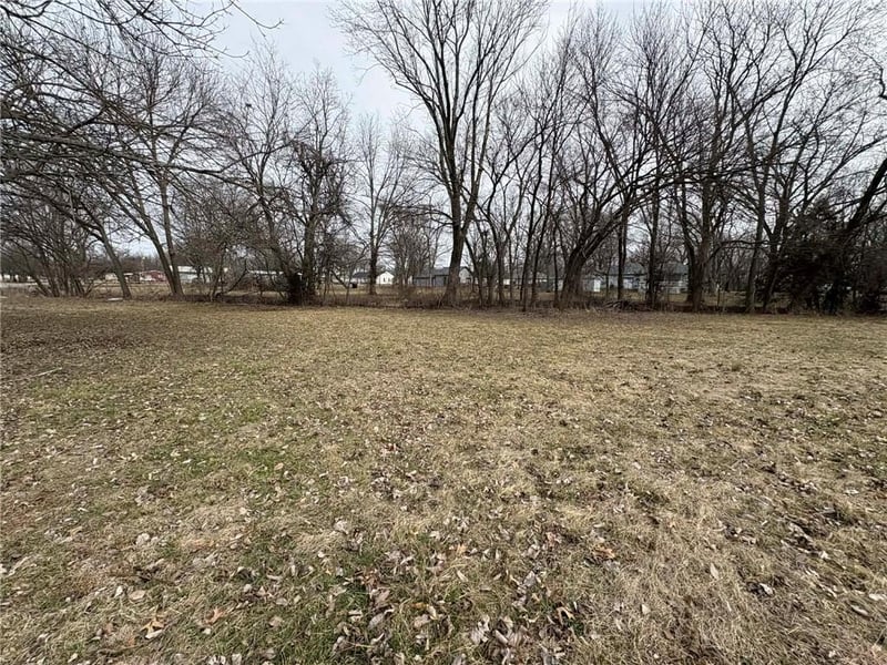 6th & 7th St, Lacygne, KS 66040