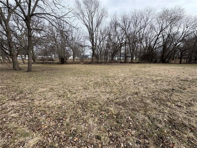 6th & 7th St, Lacygne, KS 66040