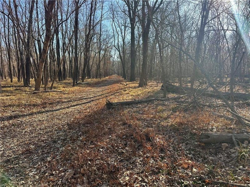 000 Old River Rd, Rockville, MO 64780