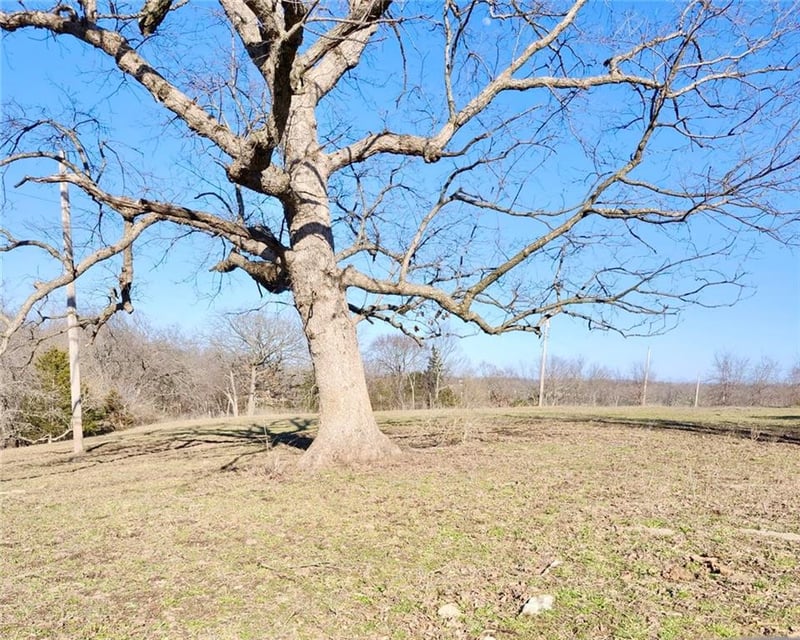 1001 Van Dyke Rd, Buckner, MO 64016