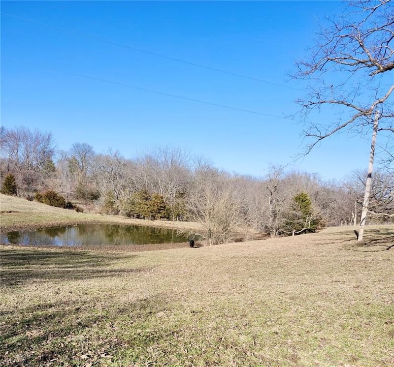 1001 Van Dyke Rd, Buckner, MO 64016