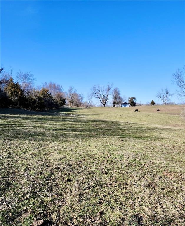 1125 Van Dyke Rd, Buckner, MO 64016