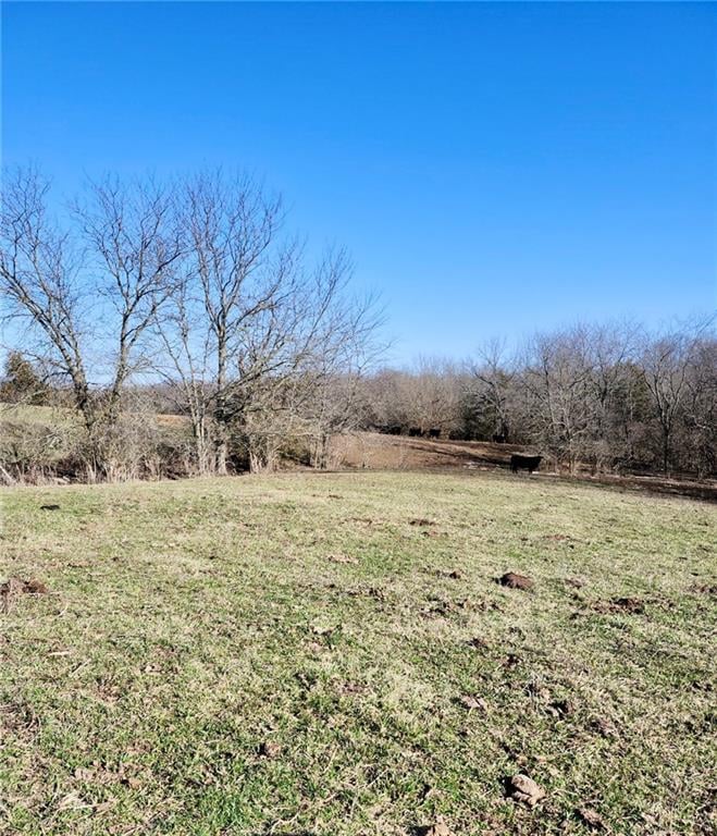 1125 Van Dyke Rd, Buckner, MO 64016
