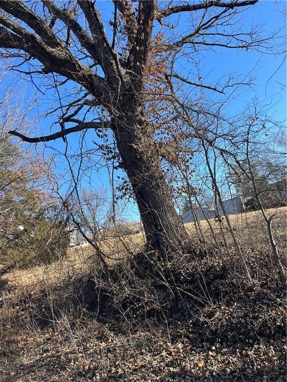 0000 Gold St, Paola, KS 66071