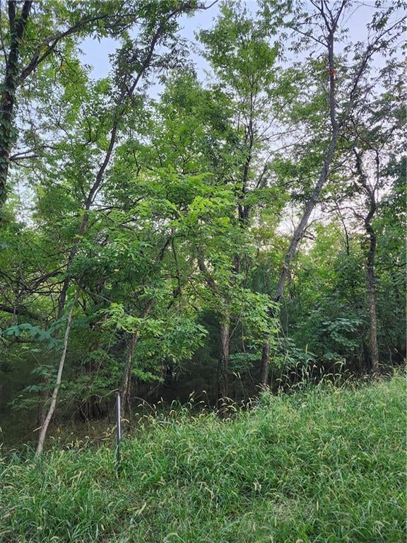 6 - 10 Live Oak Dr, Linn Valley, KS 66040