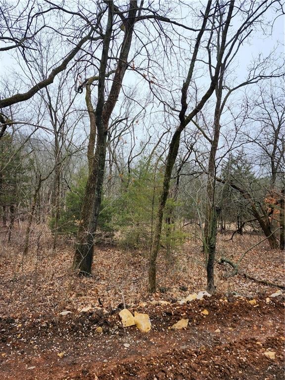 6 - 10 Live Oak Dr, Linn Valley, KS 66040