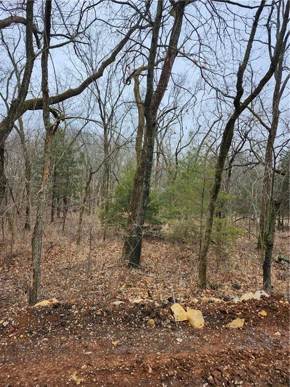 6 - 10 Live Oak Dr, Linn Valley, KS 66040