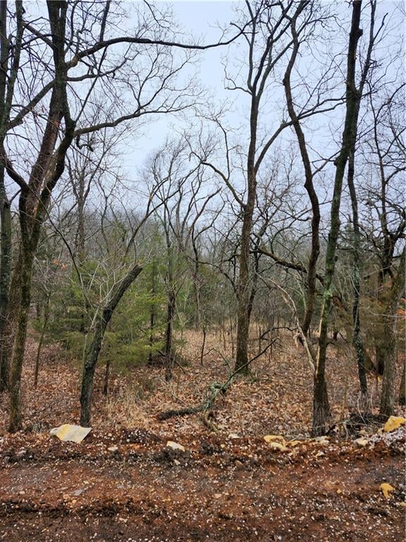 6 - 10 Live Oak Dr, Linn Valley, KS 66040