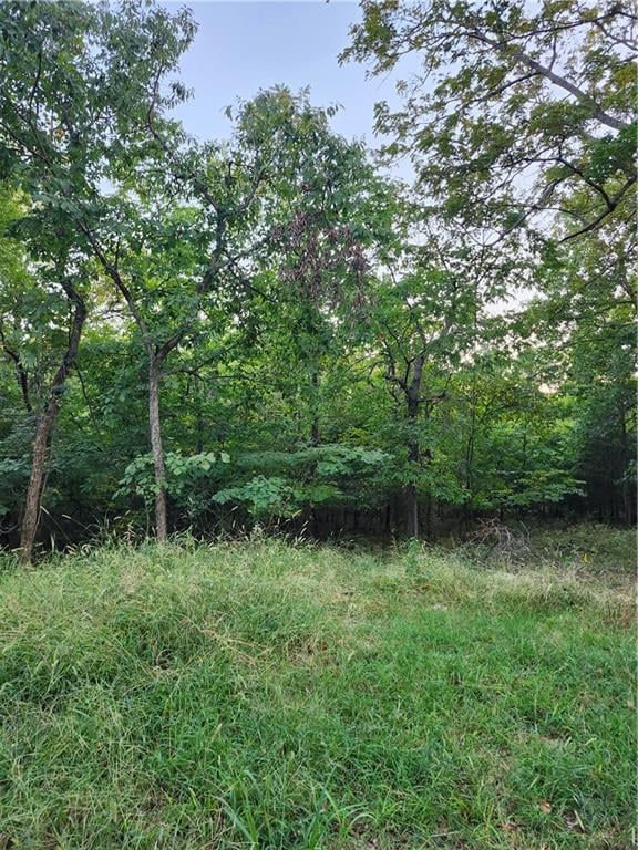 6 - 10 Live Oak Dr, Linn Valley, KS 66040