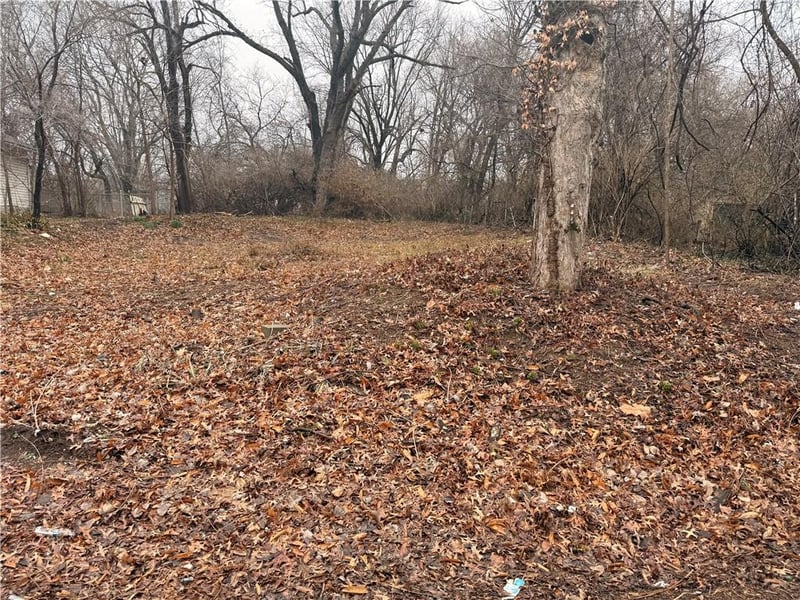 1314 81st St, Kansas City, MO 64131