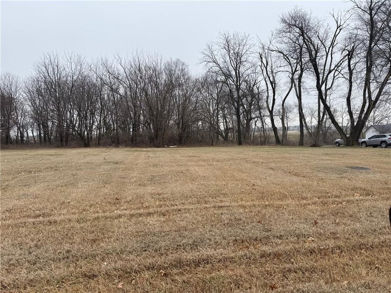 2505 Douglas St, Lee's Summit, MO 64064