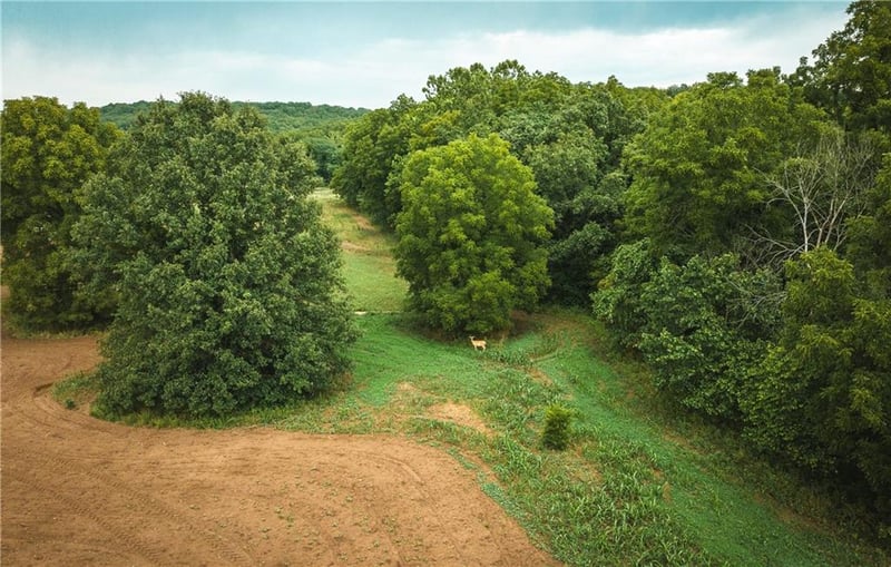 Knobby Creek Ln, Edwards, MO 65326
