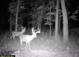 29210 Ssr D Hw, Cleveland, MO 64734