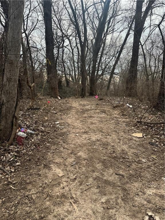 1209 Vermont Ave, Kansas City, KS 66102