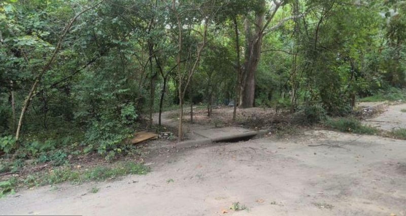 1209 Vermont Ave, Kansas City, KS 66102