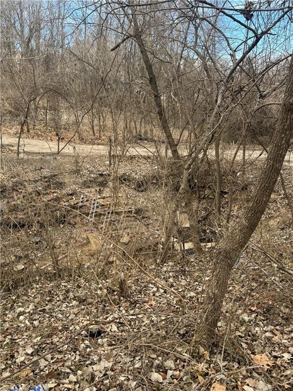 1209 Vermont Ave, Kansas City, KS 66102