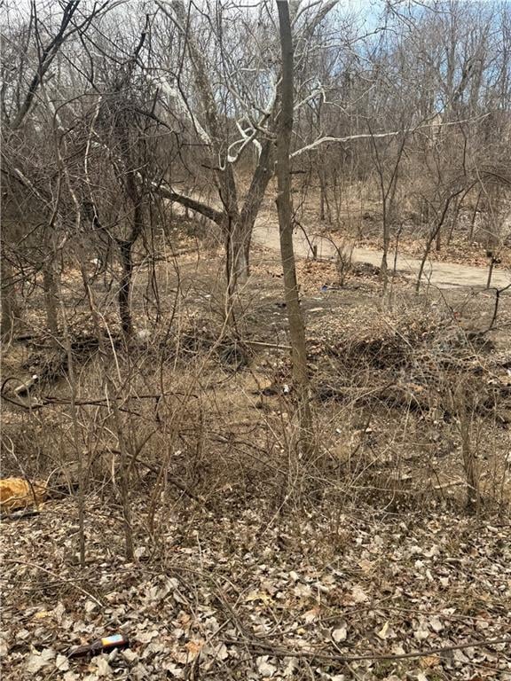 1209 Vermont Ave, Kansas City, KS 66102