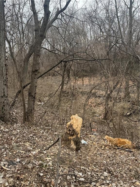 1209 Vermont Ave, Kansas City, KS 66102