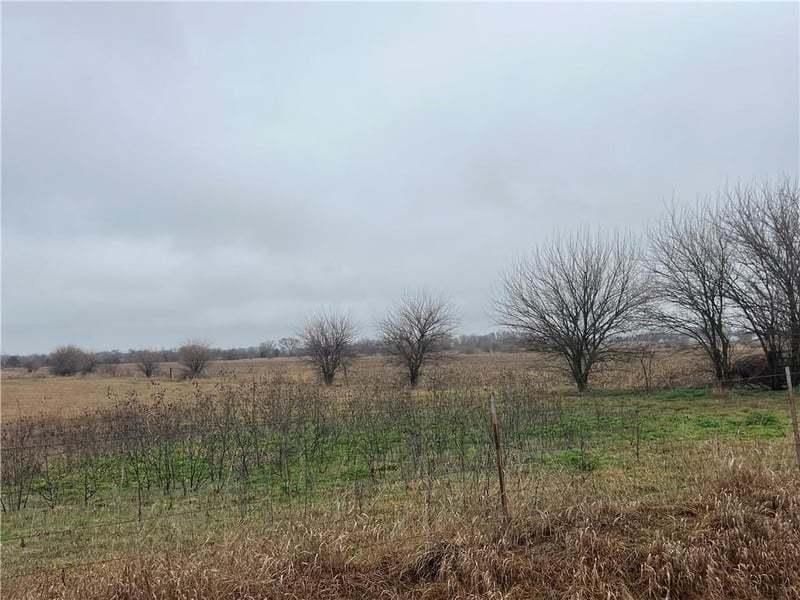 00000 1300 Rd, Welda, KS 66091
