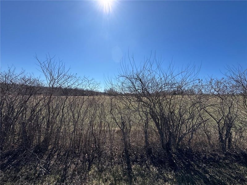 Tract B 300 Rd, Warrensburg, MO 64093