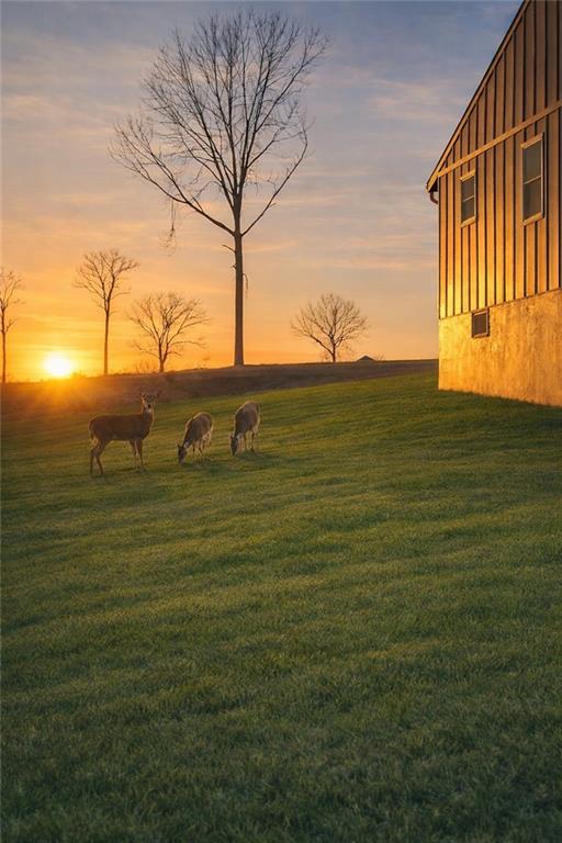 10436 41st St, Kansas City, MO 64133