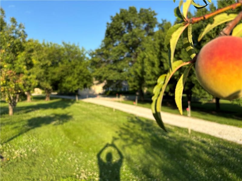 25595 Rockville Rd, Louisburg, KS 66053