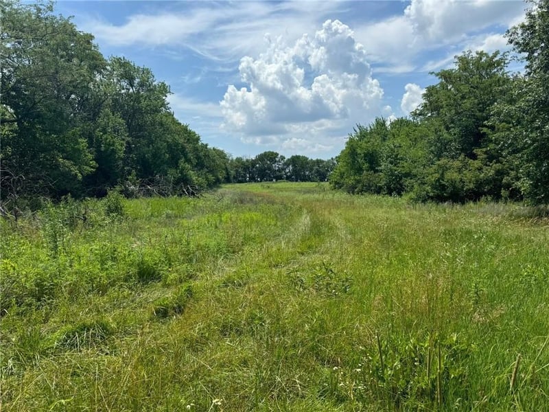 Cr 151 Rd, Norborne, MO 64668