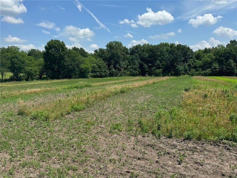 Cr 151 Rd, Norborne, MO 64668