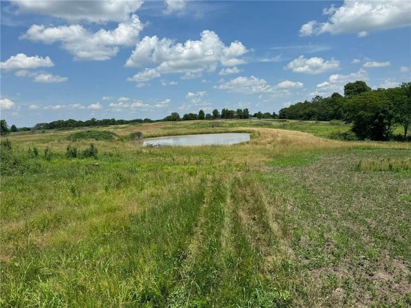 Cr 151 Rd, Norborne, MO 64668