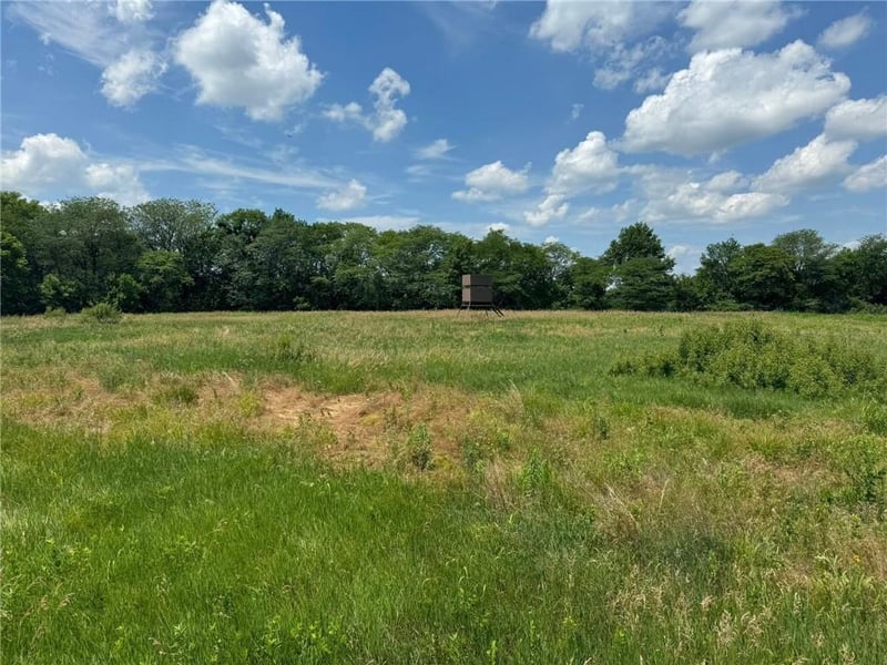 Cr 151 Rd, Norborne, MO 64668