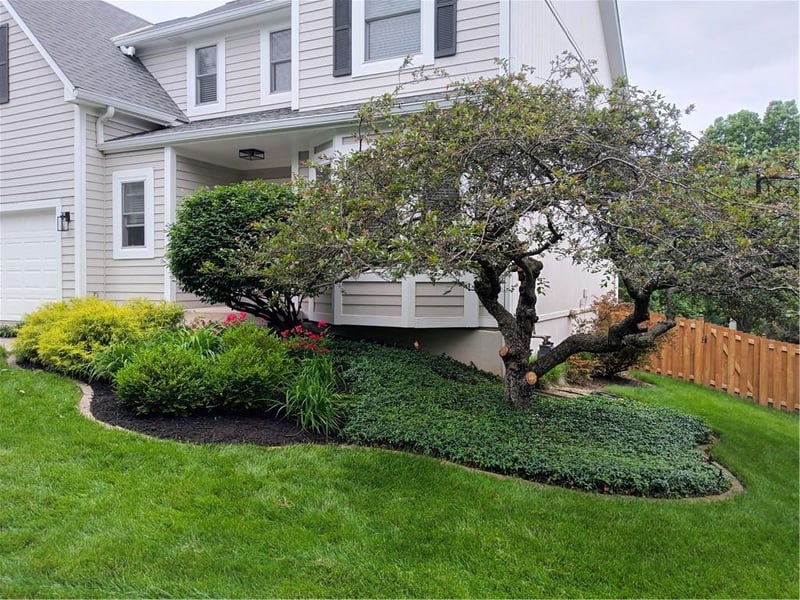 14416 Hemlock St, Overland Park, KS 66223