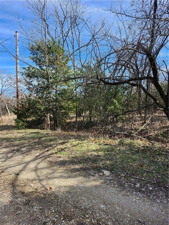 10 Scenic Valley Dr, Linn Valley, KS 66040