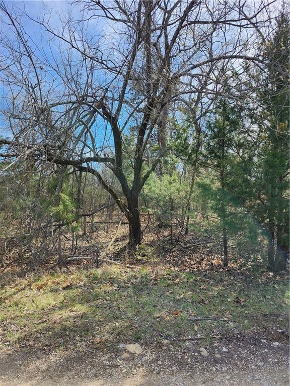 10 Scenic Valley Dr, Linn Valley, KS 66040