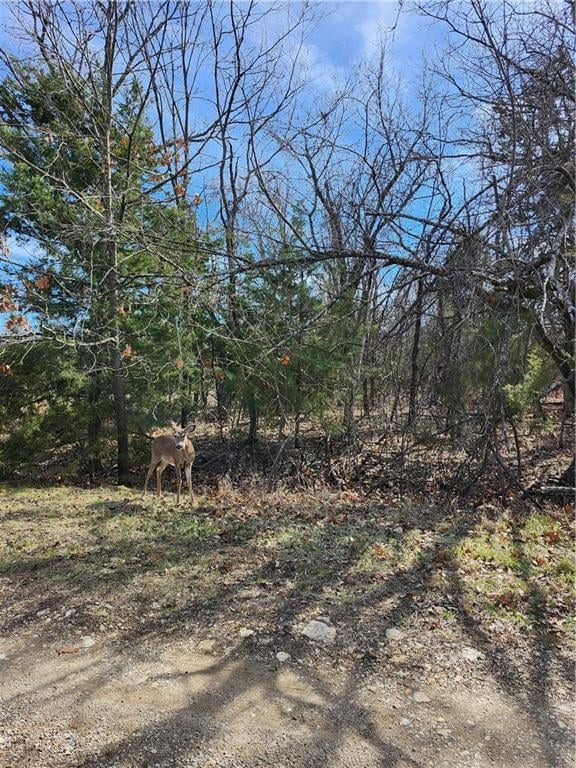 10 Scenic Valley Dr, Linn Valley, KS 66040