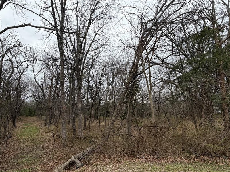 0000 Brown Ave, Osawatomie, KS 66064