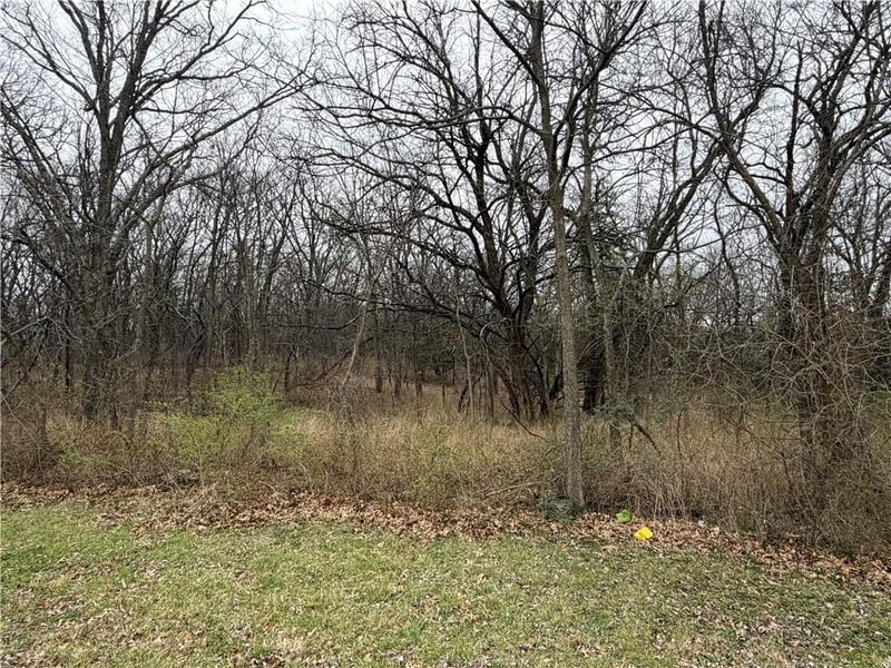 0000 Brown Ave, Osawatomie, KS 66064